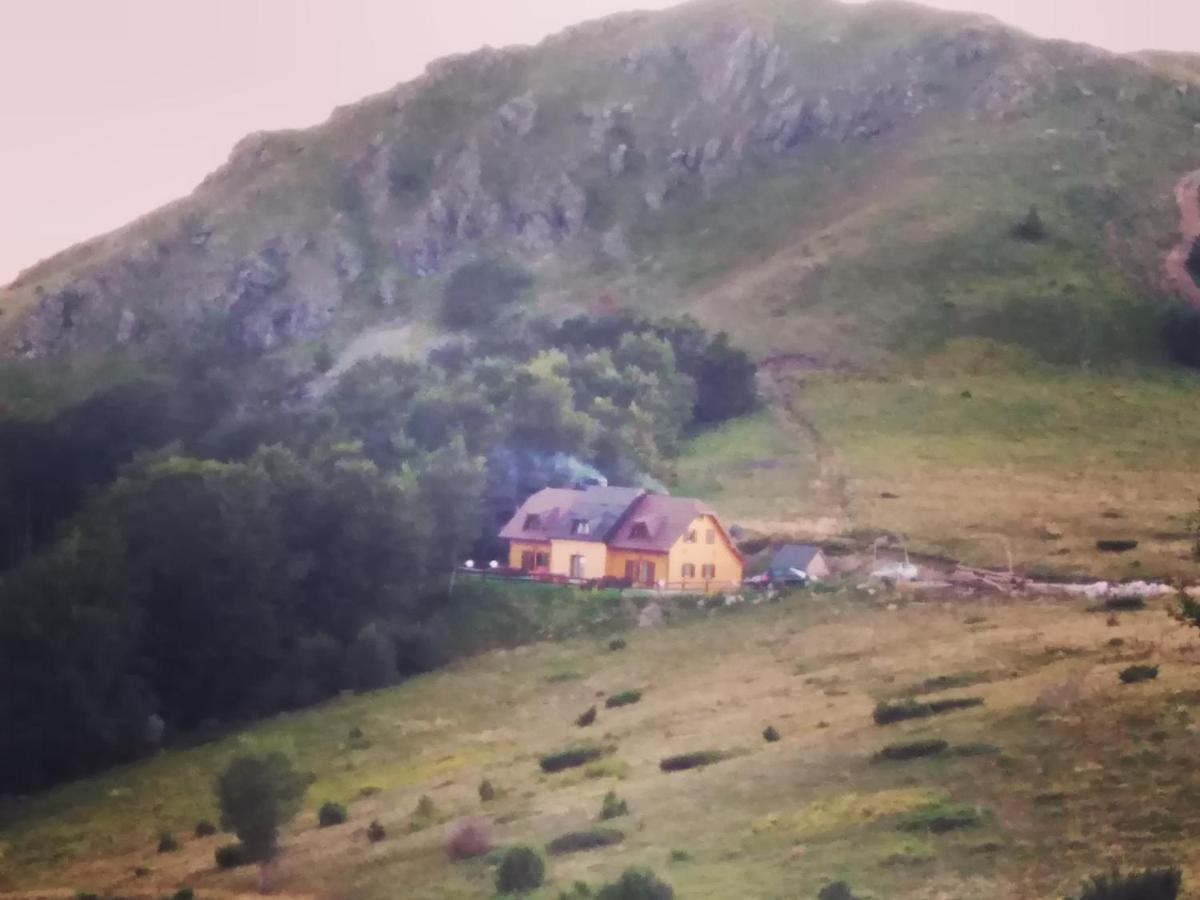 Vikendica Vila Despotovic Kopaonik Exterior foto