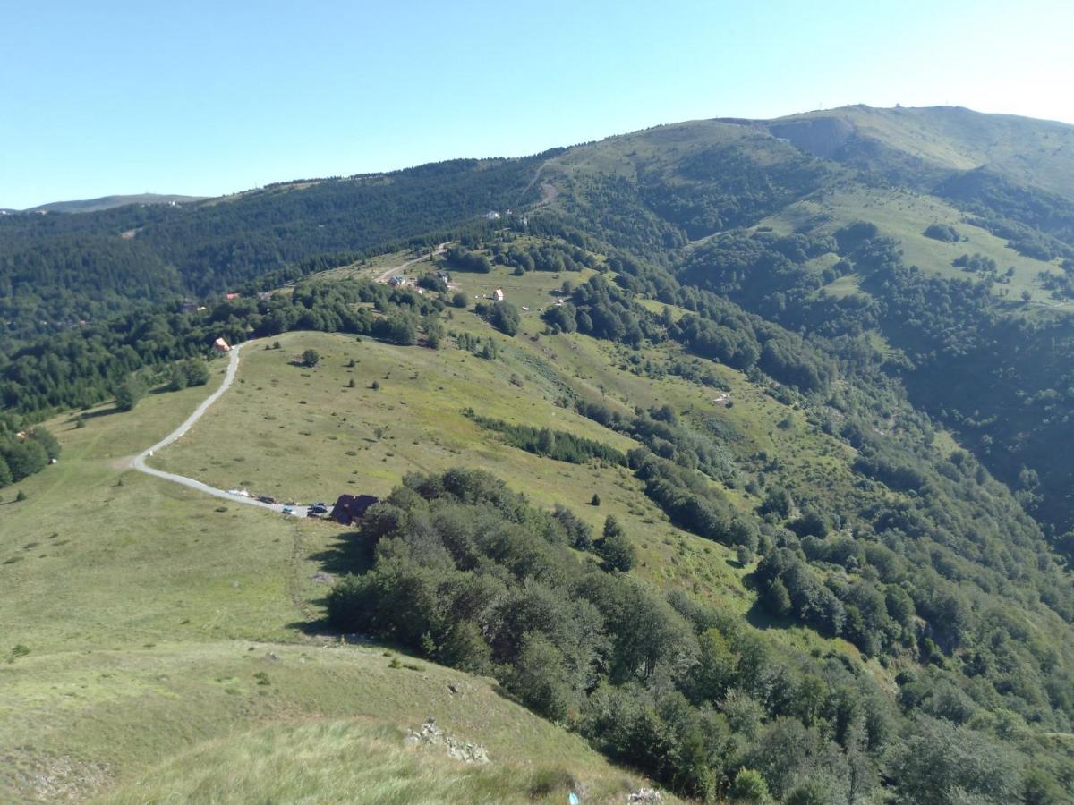 Vikendica Vila Despotovic Kopaonik Exterior foto