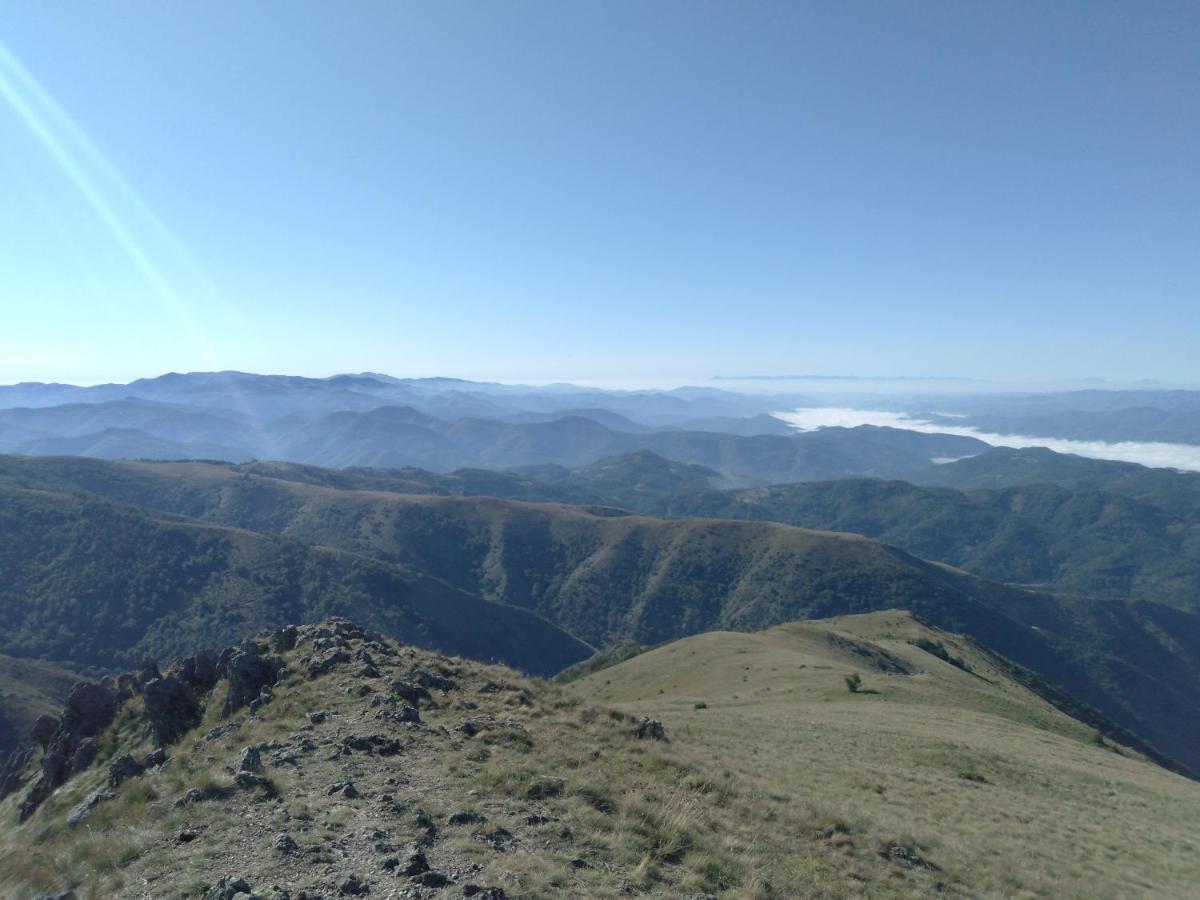 Vikendica Vila Despotovic Kopaonik Exterior foto