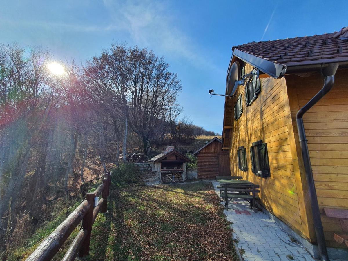 Vikendica Vila Despotovic Kopaonik Exterior foto