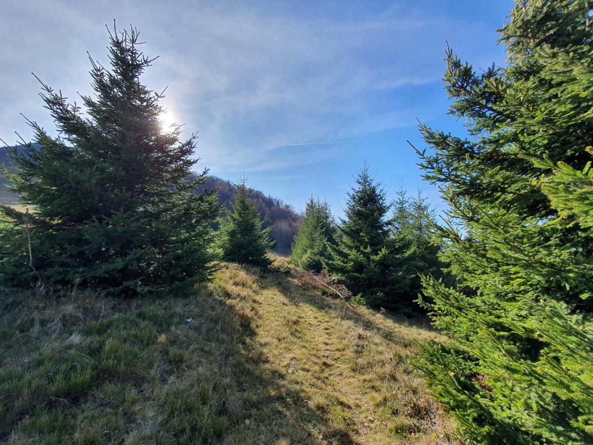 Vikendica Vila Despotovic Kopaonik Exterior foto