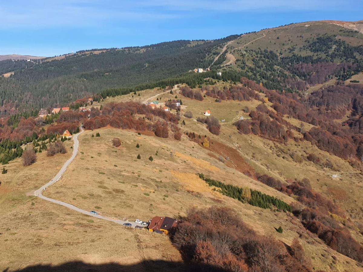 Vikendica Vila Despotovic Kopaonik Exterior foto