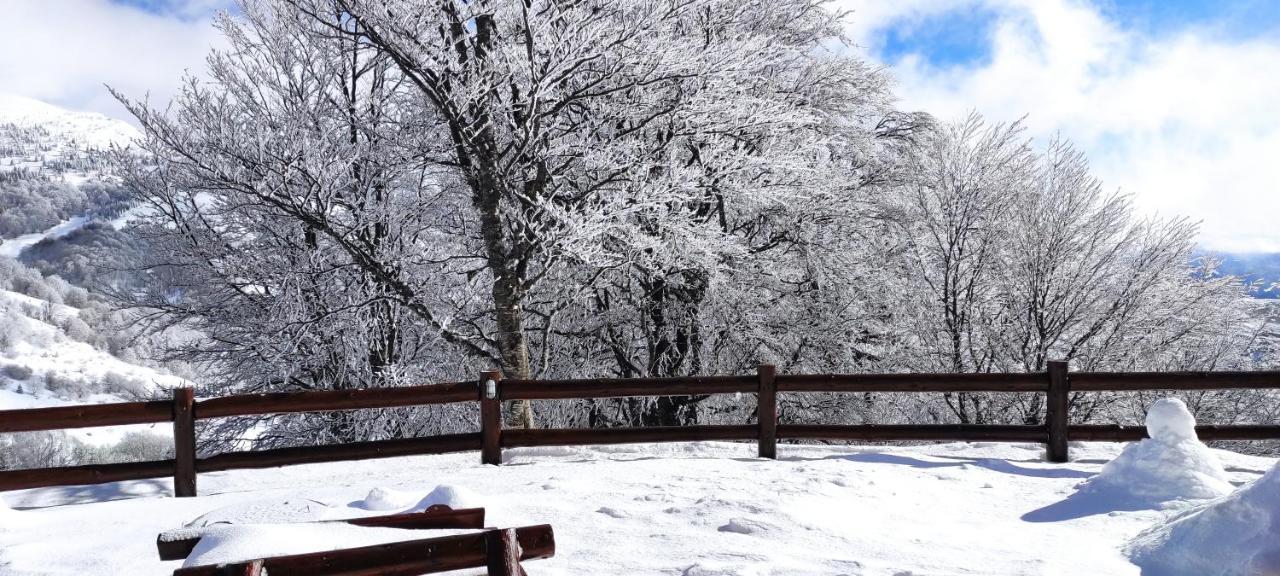 Vikendica Vila Despotovic Kopaonik Exterior foto