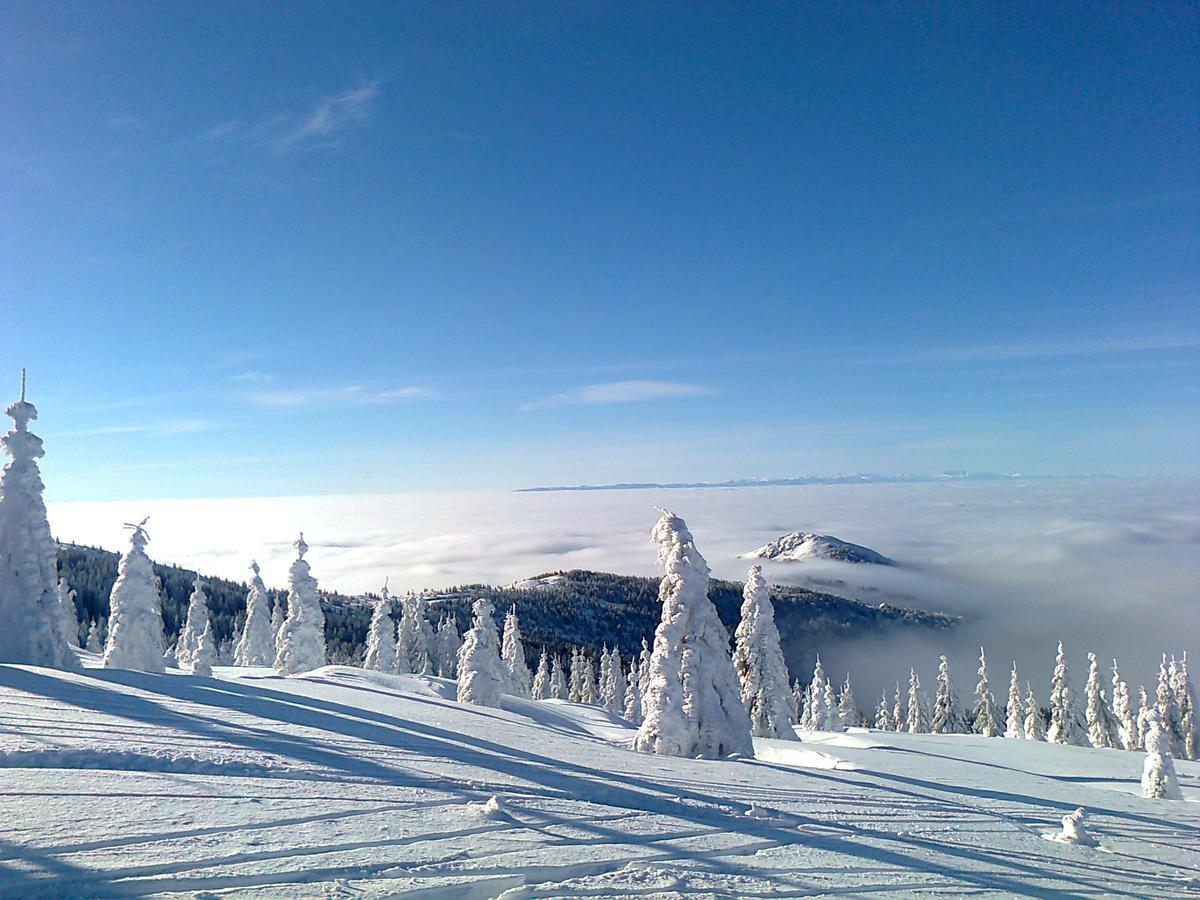 Vikendica Vila Despotovic Kopaonik Exterior foto