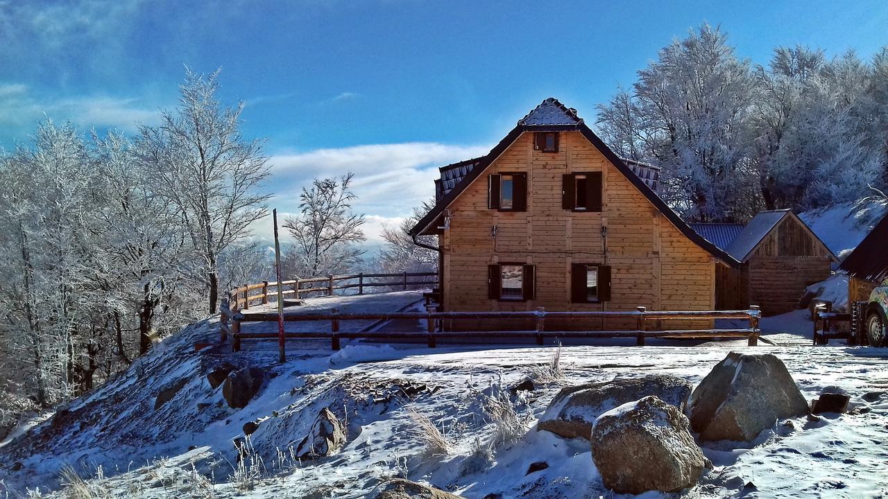 Vikendica Vila Despotovic Kopaonik Exterior foto