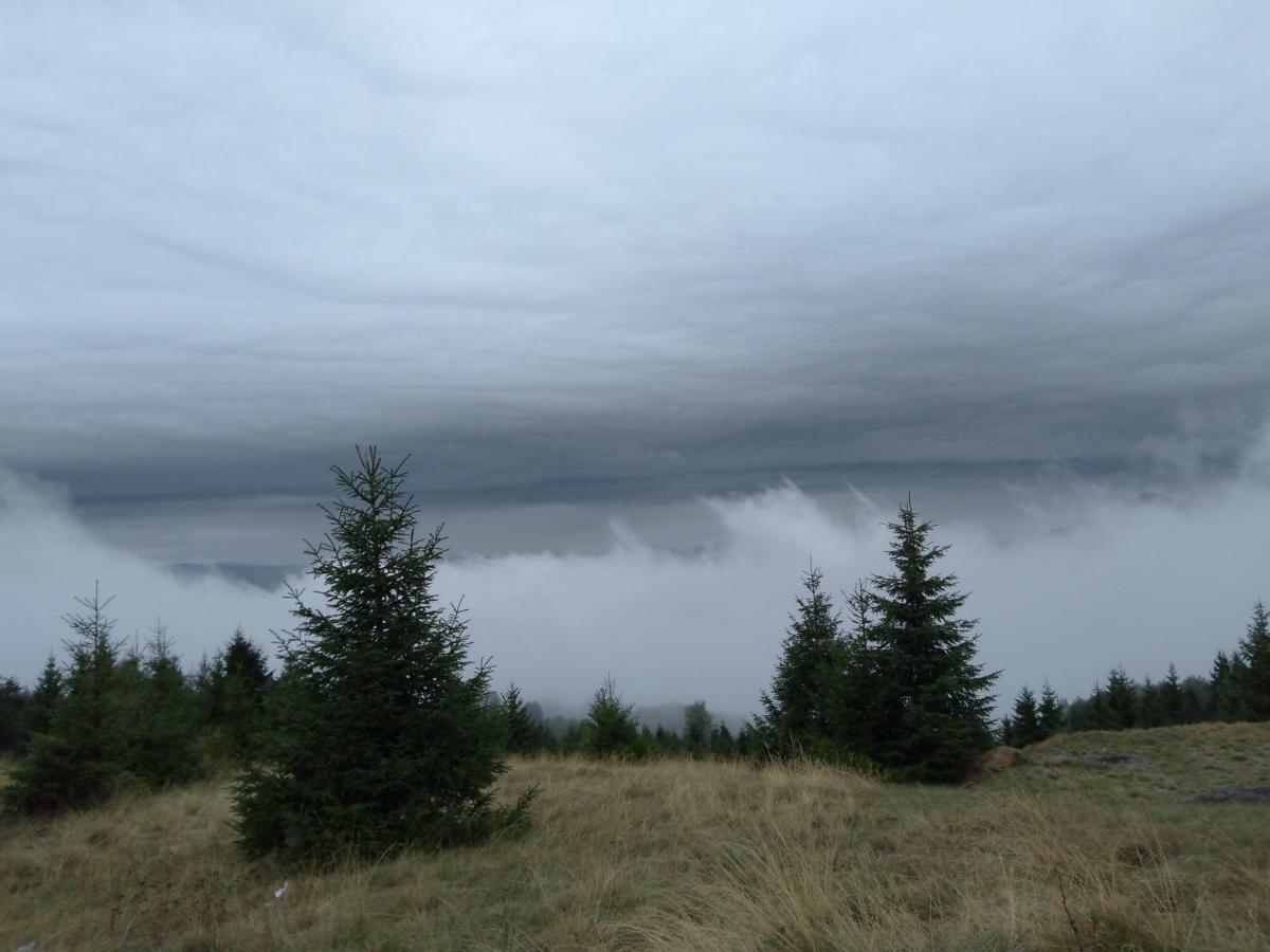 Vikendica Vila Despotovic Kopaonik Exterior foto